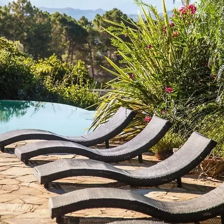 Charmante Maison De A Avec Piscine Feriehus Olmeto (Corsica)