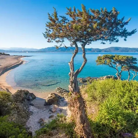 Feriehus Charmante Maison De A Avec Piscine Olmeto (Corsica)