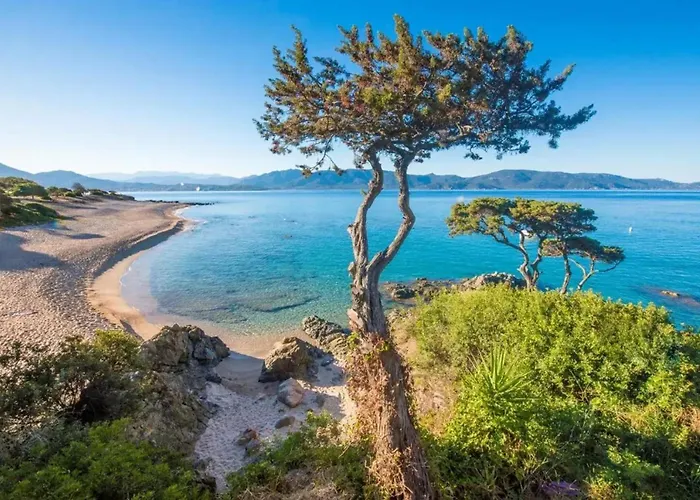 Feriehus Charmante Maison De A Avec Piscine Olmeto (Corsica)